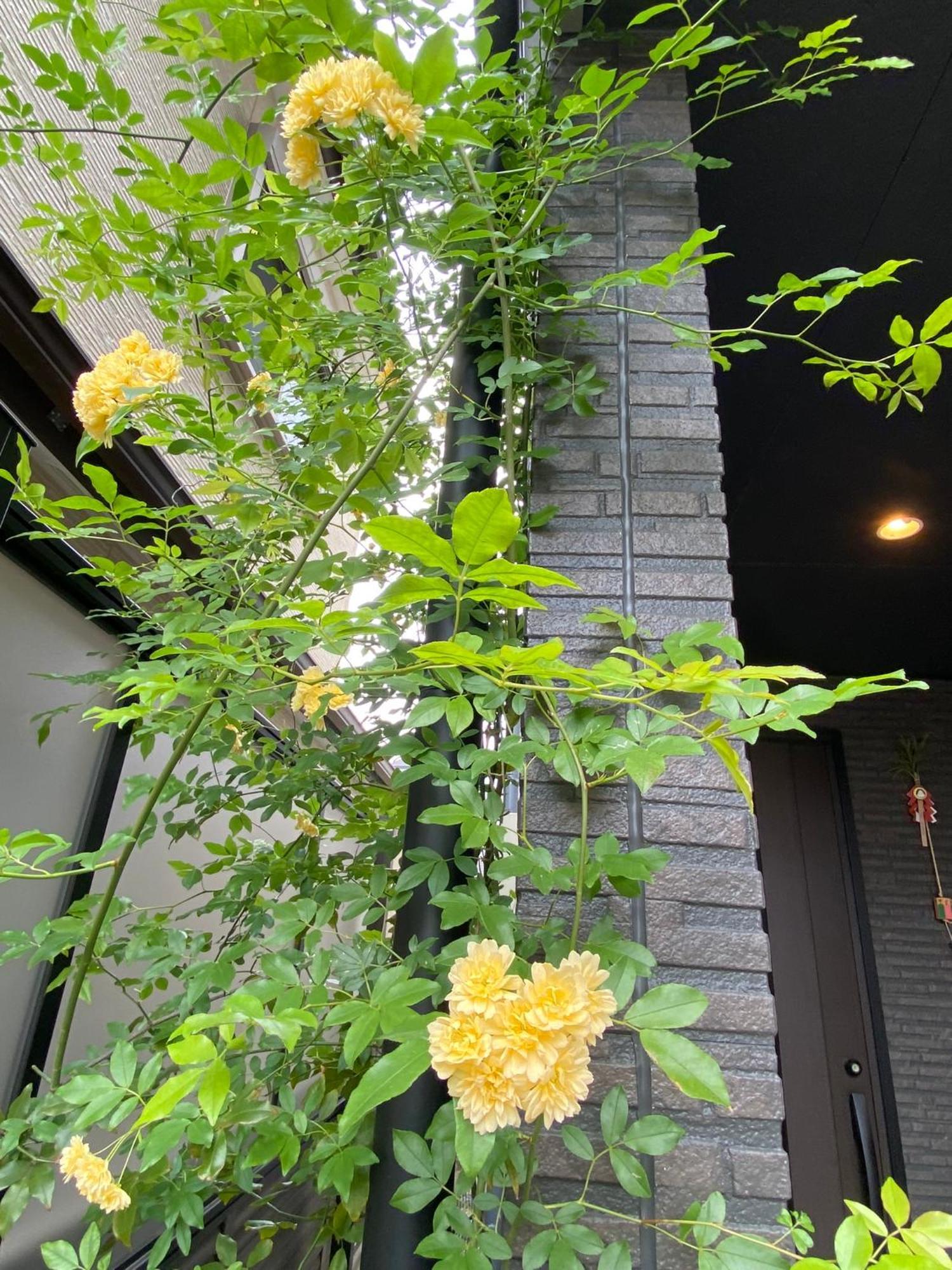 Hotel 遥華-Haruka House Kioto Exterior foto